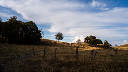 Paysage de la plaine de l'Aubrac 