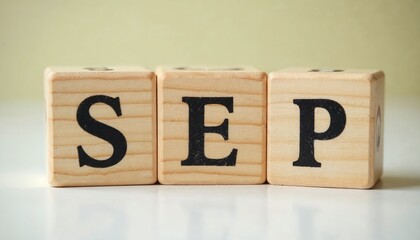 Wooden blocks spelling SEP concept for savings economy planning business finance