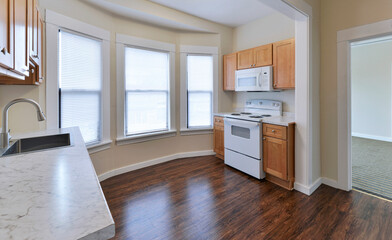 Modern residential kitchen interior