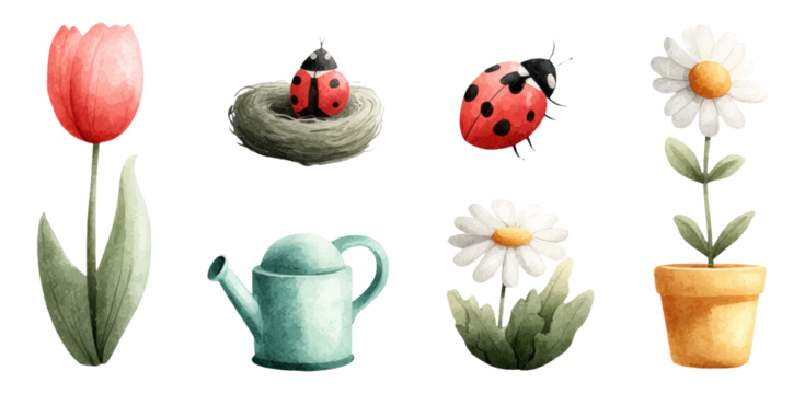Charming Watercolor Flower and Ladybug Illustrations for Spring Decor
