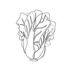 Line drawing of a bok choy
