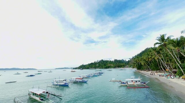 Scenic beach lined with boats and coconut palms along turquoise sea in Palawan