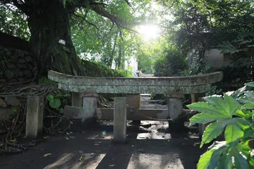 Fotobehang Torii Gates Torii gate.  © eric1207cvb