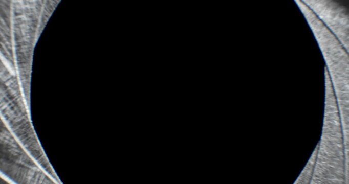 Circular blades of a mechanical iris create a precision opening controlling amount of light entering a camera lens with the opening mechanism controlling the aperture and the depth of field in focus.