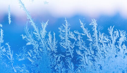 Abstract Blue Ice Frost Pattern on Glass Pane