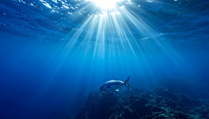 Fototapeta premium Underwater Sunlight Piercing the Ocean