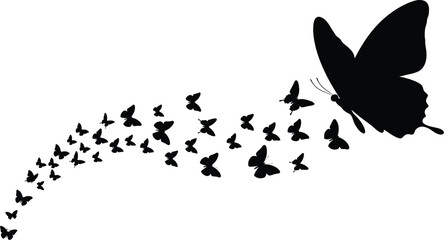 A large black butterfly leads a stream of smaller butterflies into the white expanse, symbolizing freedom and transformation.