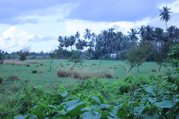 The scenic beauty of Satapada of Odisha in India. Photo: October 7, 2022