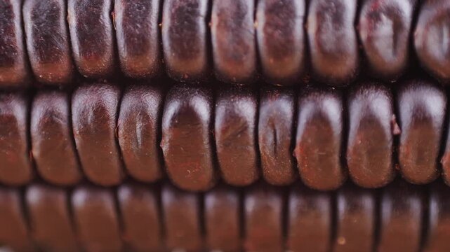 Close-up detailed black corn negro latin american. Dried Chicha Morada is made from black corn. 