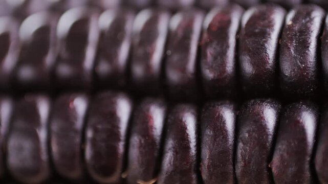 Close-up detailed black corn negro latin american. Dried Chicha Morada is made from black corn. 