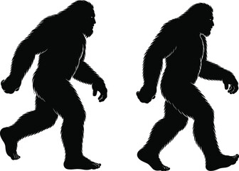 Bigfoot silhouette images, hairy humanoid figures walking, mysterious creature vector art, sasquatch legend icons, forest monster design, cryptid shadows, wildlife unknown beings