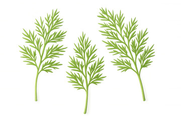Obraz premium Three sprigs of fresh dill are isolated on a transparent background, ready to be used in food photography or design projects
