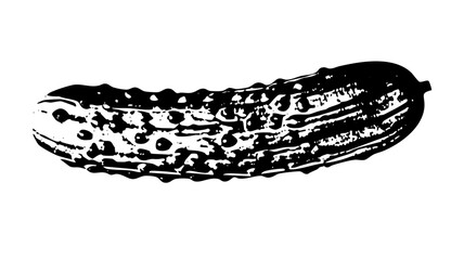 Vector Detailed black and white of a bumpy cucumber.
