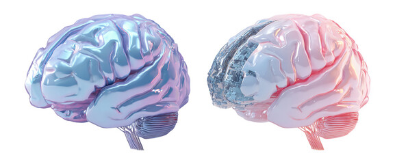 Human Brain Split Illustration with Colorful and Textured Details