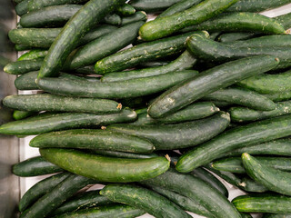 Fresh Japanese cucumbers stacked in bulk display at a local grocery store.
