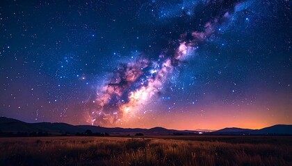 Fototapeta premium Milky Way over a field at night
