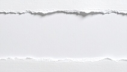 Torn Cotton Paper Texture with Soft Shadow