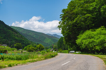 新緑のきさらぎの道　木祖村 © kikisora