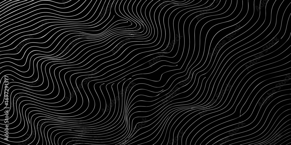 Wall mural abstract black background with flowing white wavy lines creating a topographic map effect