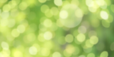 Obraz premium Soft focus green bokeh background with natural light and blurred foliage