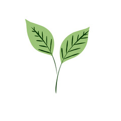 green leaf icon