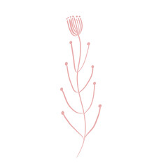 Illustration of flower