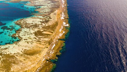 Aerial View of a Vibrant Coral Reef and Ocean Drop Off