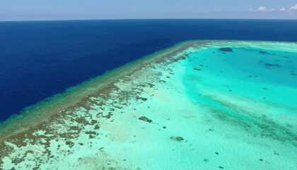 Aerial View of a Vibrant Coral Reef Shelf and Ocean Drop Off