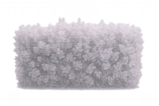 White bush cutout with transparent background, perfect for adding greenery to architectural visualizations and landscape designs - Powered by Adobe