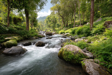 experience tranquil ambiance of secluded waterfall nestled in lush balinese jungle