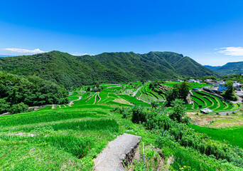 美しい田園風景