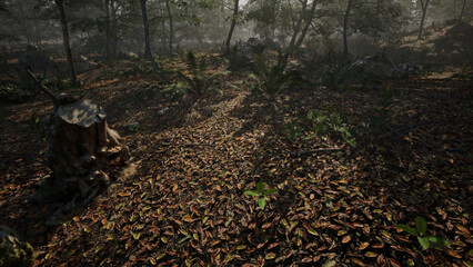 Forest 静寂の木漏れ日