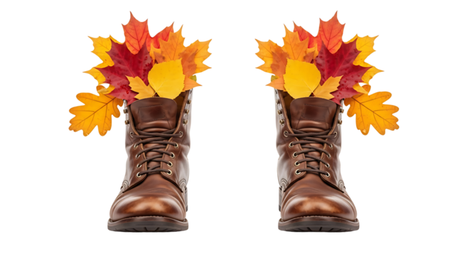 Two brown leather boots filled with colorful autumn leaves on a simple studio style setup image scene
