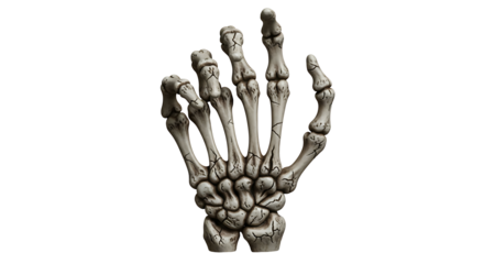 Illustration of a skeletal hand with visible cracks and shadow on a plain colored surface