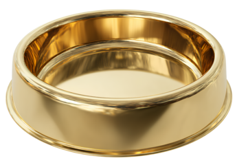  gold metal dog bowl, round bottom with raised edge,v.png