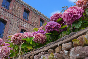 Fototapety na wymiar - Fototapeta24.pl