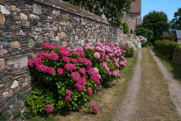 Fototapety na wymiar - Fototapeta24.pl