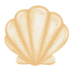 Watercolor Cute Shell. Under the sea.