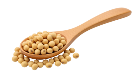 Fresh soybeans in a wooden spoon against a ready for cooking and healthy eating in a balanced diet and lifestyle concept on transparent background