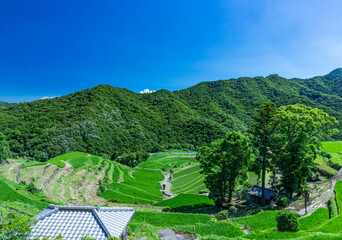美しい田園風景