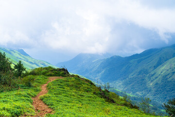 Stunning view of mountain landscape blanketed in lush greenery and towering trees. Mist rolls...