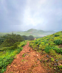 Stunning view of mountain landscape blanketed in lush greenery and towering trees. Mist rolls...