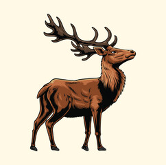 Standing deer illustration with hand drawing