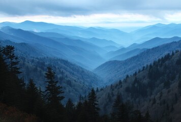 Obraz premium Layered blue mountain ranges stretch to the horizon under a cloudy sky, with evergreen trees silhouetted in the foreground