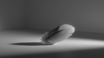 in photorealistic ultraminimalist style single feather rests on smooth clean surface