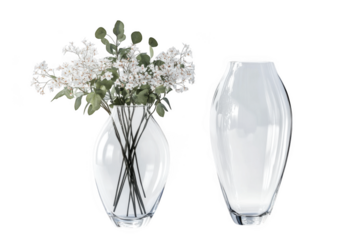 Elegant glass vases with white flowers and decorative stems home decor still life isolated on transparent background