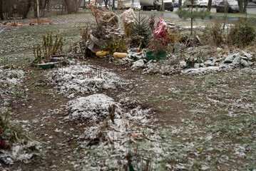 flowerbed in poor condition