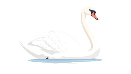 Fototapeta premium White swan on water