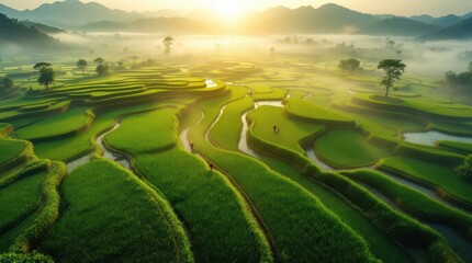 Stunning Sunrise Over Lush Green Rice Terraces.