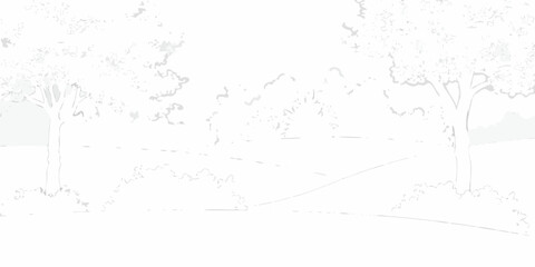 Stylized sketch of a park landscape with trees and winding paths in a minimalist white and gray color palette